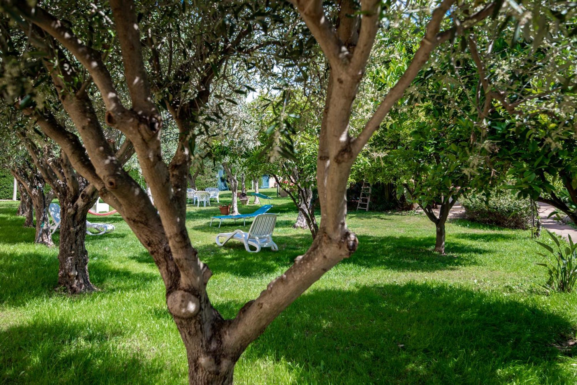 אבולה Villa Del Papiro Charme Apartments מראה חיצוני תמונה